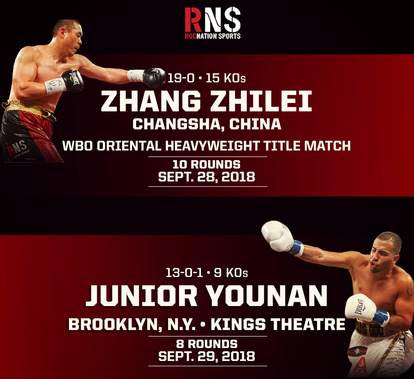 Zhang Zhilei and Junior Younan poster